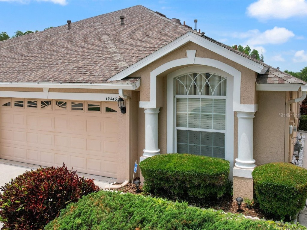 19443 Everton Place Land O Lakes FL 34638 U8245566 image1