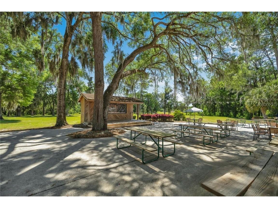 19447 SW 98th Place Road Dunnellon FL 34432 OM710952 image30