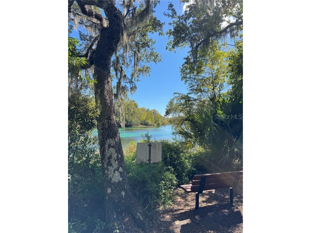 19447 SW 98th Place Road Dunnellon FL 34432 OM710952 image31