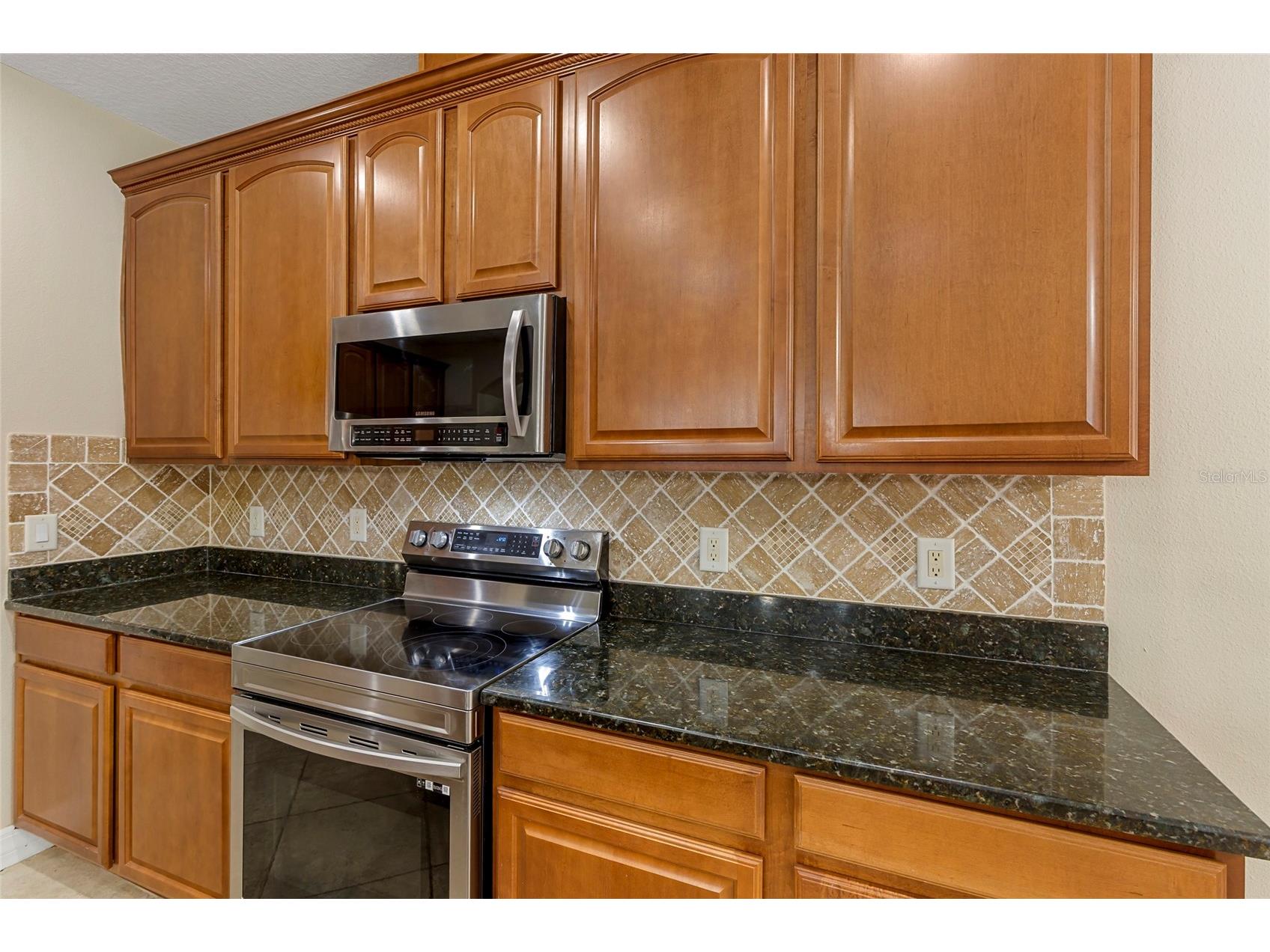 1945 Abbey Ridge Drive Dover FL 33527 TB8523698 image5