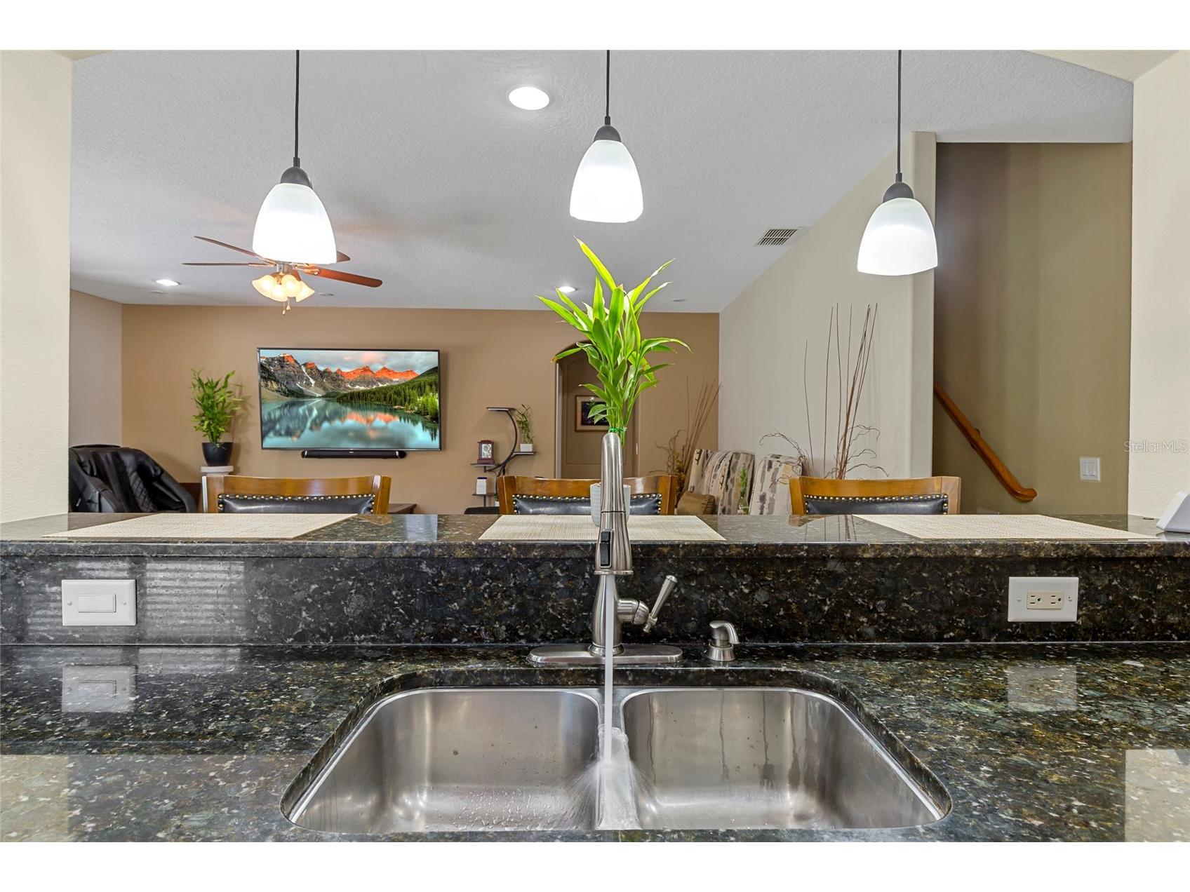 1945 Abbey Ridge Drive Dover FL 33527 TB8523698 image7