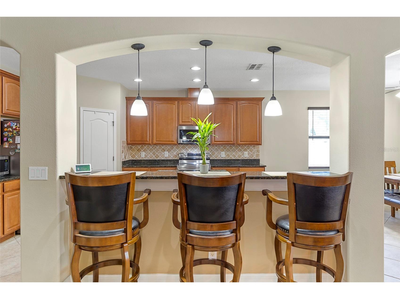 1945 Abbey Ridge Drive Dover FL 33527 TB8523698 image8