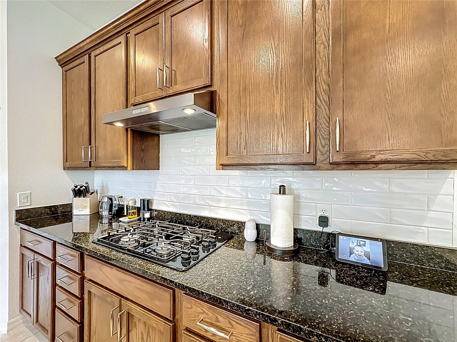 1945 Ibis Bay Court Ocoee FL 34761 O6392837 image7