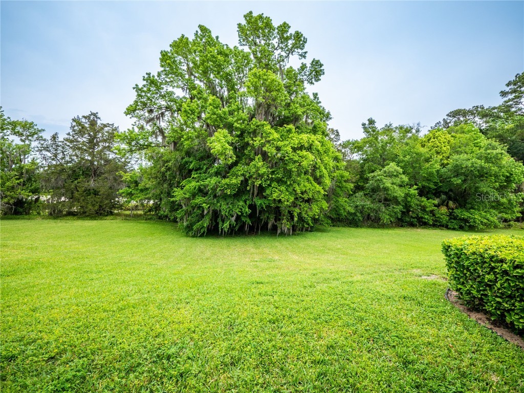 1945 SW 40th Place Ocala FL 34471 OM691745 image26