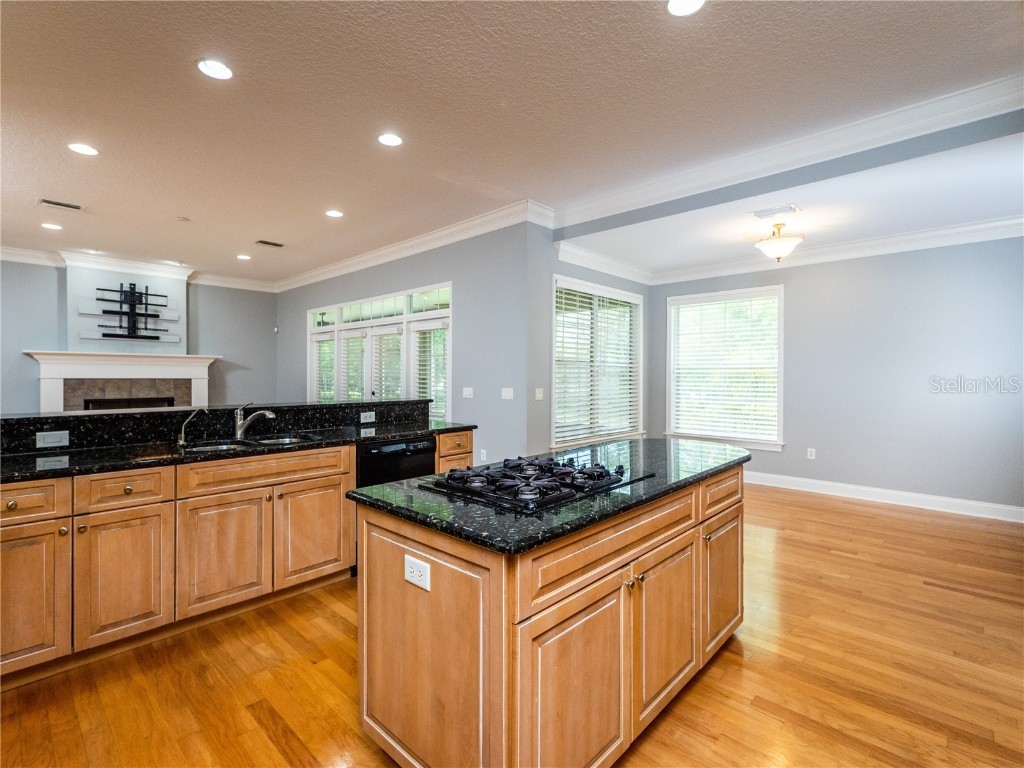 1945 SW 40th Place Ocala FL 34471 OM691745 image9