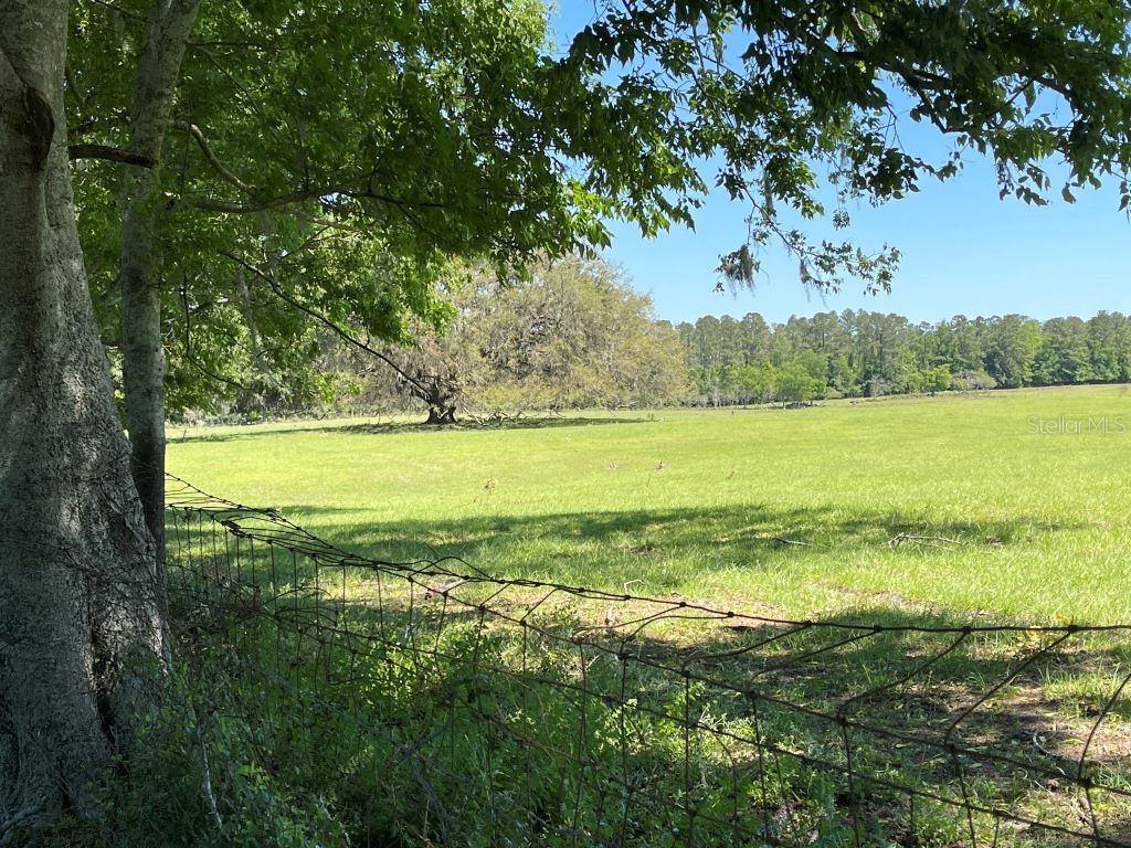 19450 Block NW 94th Avenue Alachua FL 32615 GC532204 image4