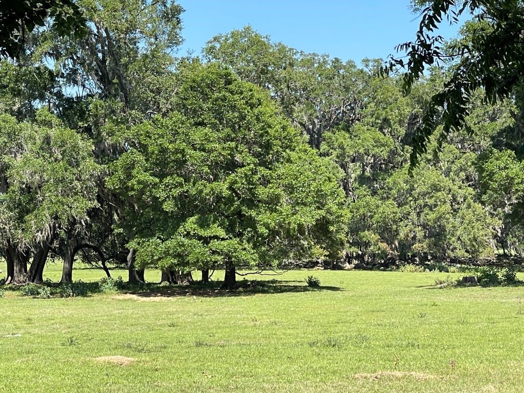 19450 Block NW 94th Avenue Alachua FL 32615 GC532204 image5