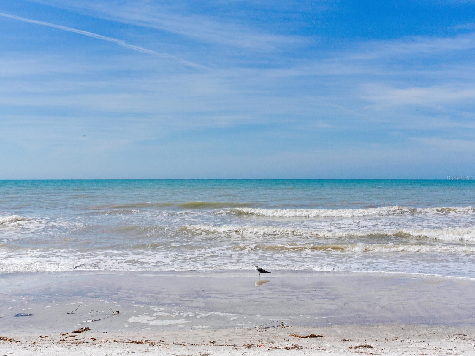 19450 Gulf Boulevard #701 Indian Shores FL 33785 - GULF OF AMERICA TB8478682 image51
