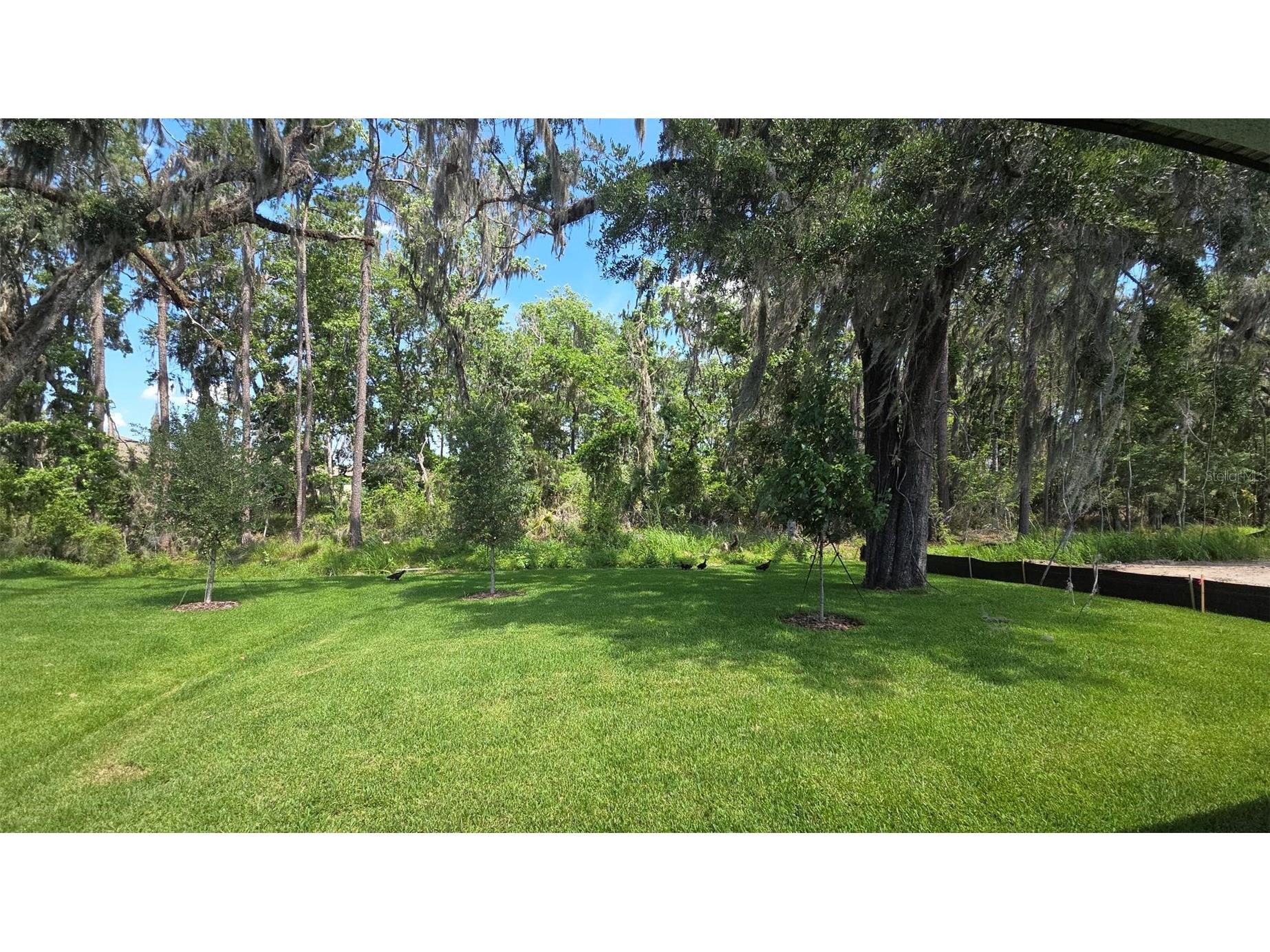 19451 Forest Garden Court Brooksville FL 34601 TB8510958 image3