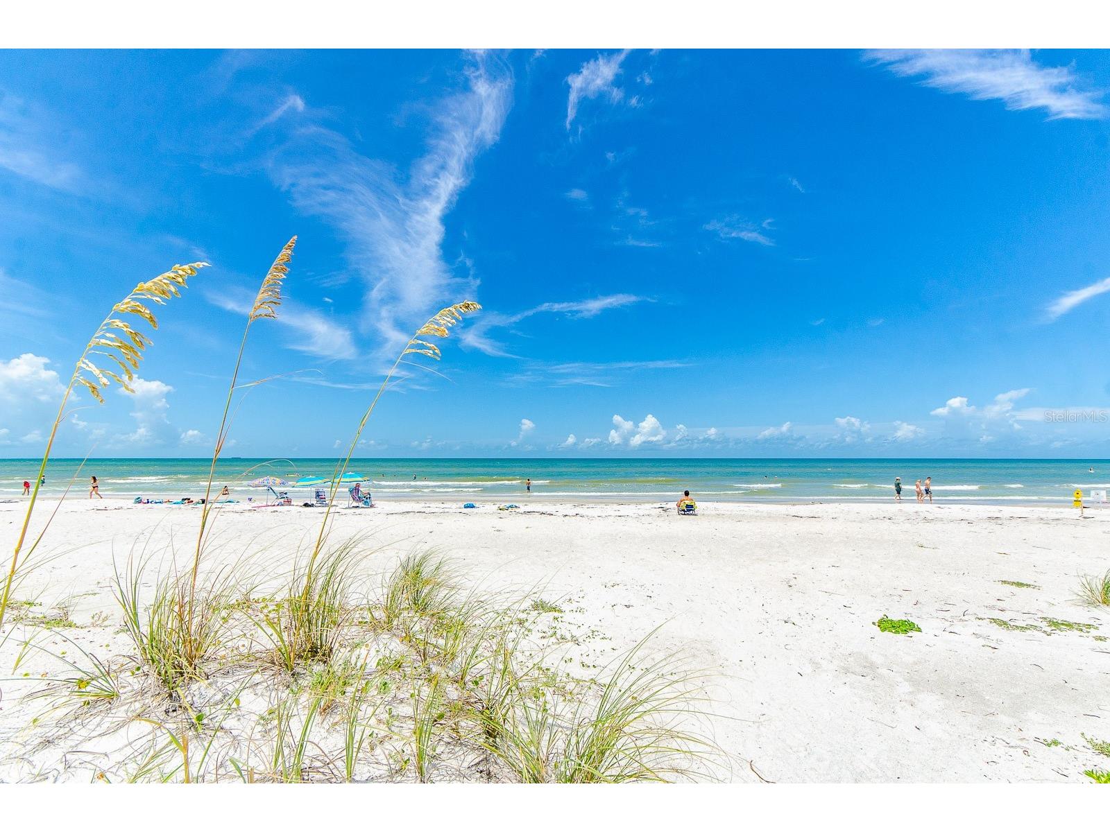 19451 Gulf Boulevard #301 Indian Shores FL 33785 - INTRACOASTAL TB8361362 image45