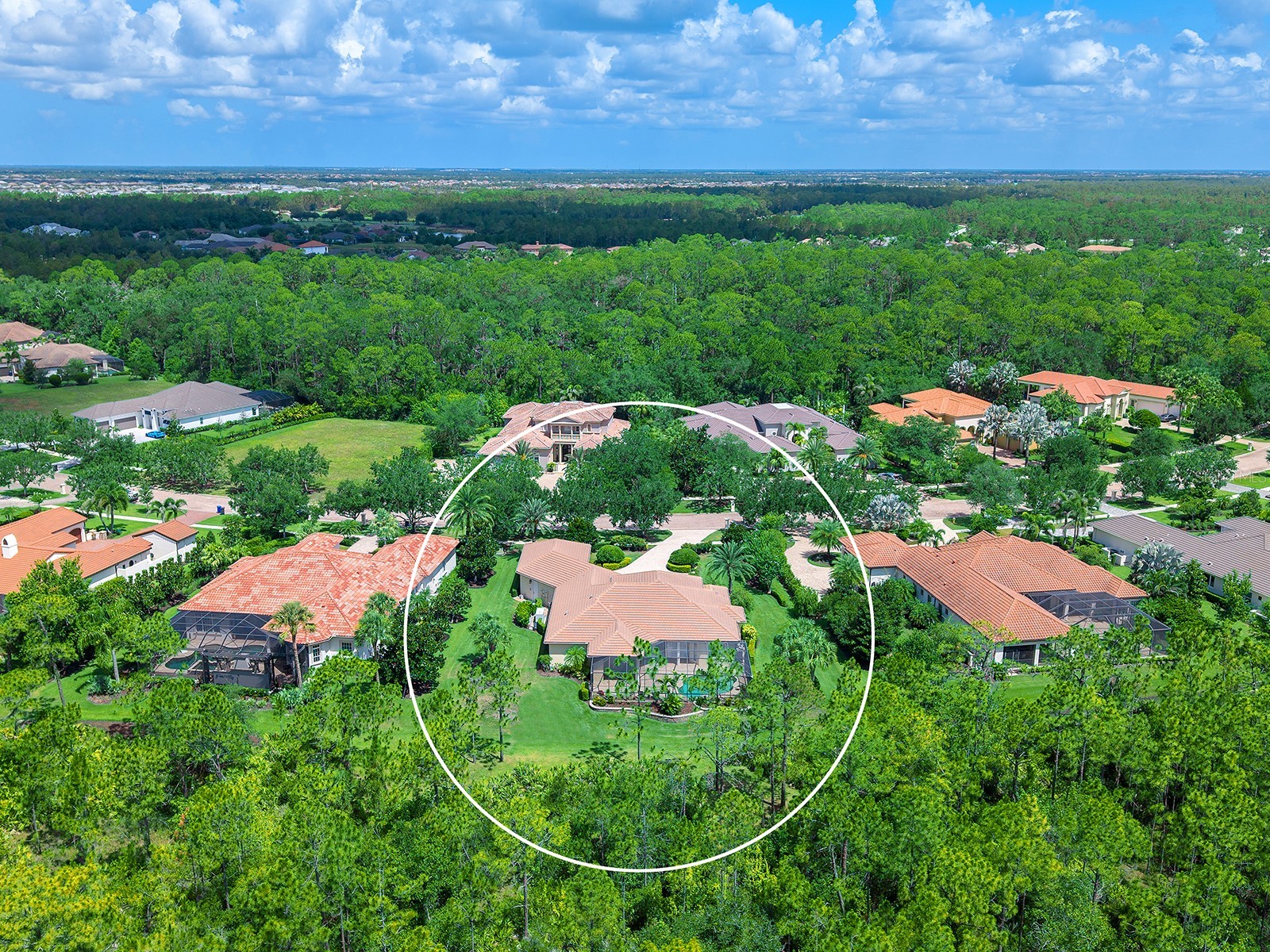 19452 Beacon Park Place Lakewood Ranch FL 34202 A4695820 image65