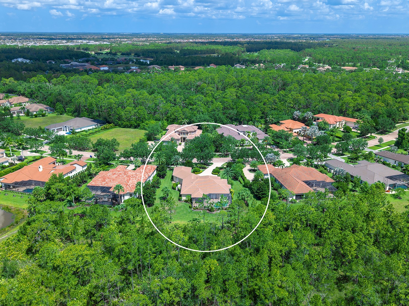 19452 Beacon Park Place Lakewood Ranch FL 34202 A4695820 image66