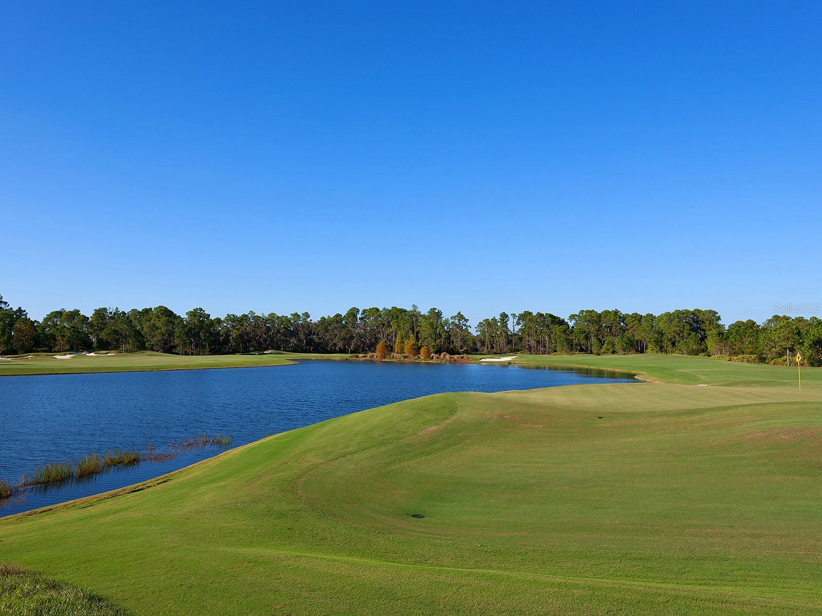 19452 Beacon Park Place Lakewood Ranch FL 34202 A4695820 image76
