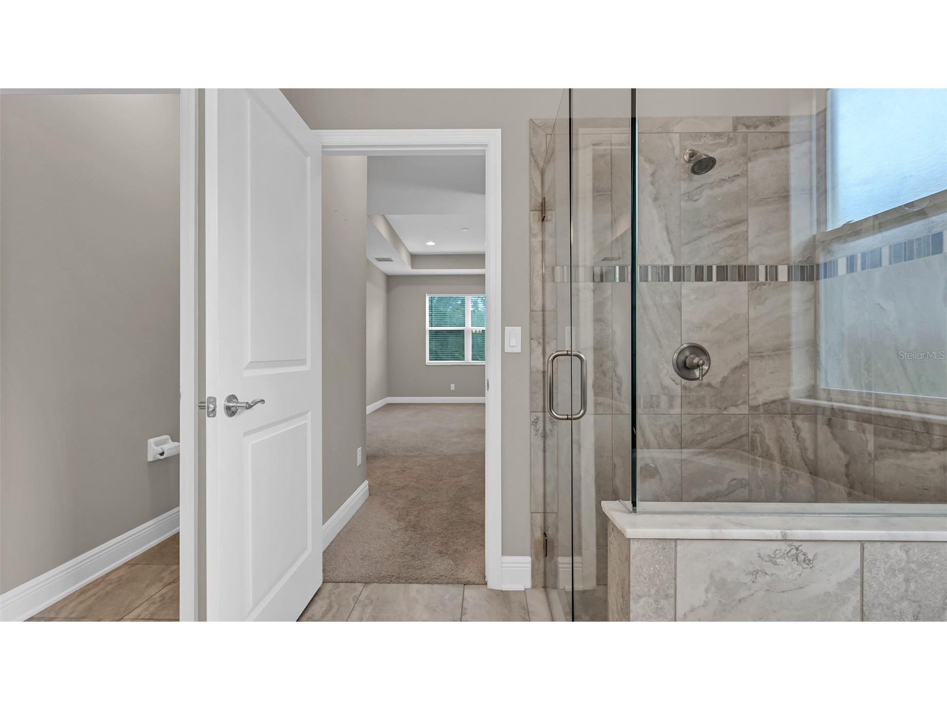 19455 Redwood Point Drive Tampa FL 33647 TB8523376 image16