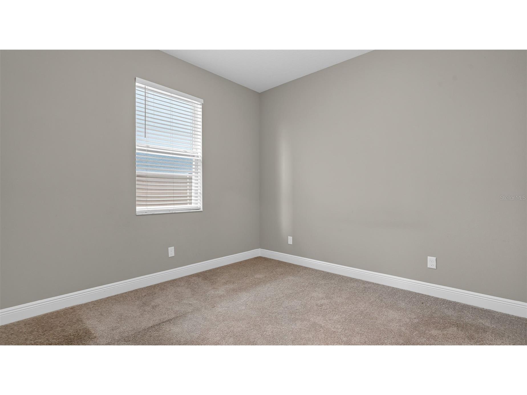 19455 Redwood Point Drive Tampa FL 33647 TB8523376 image21