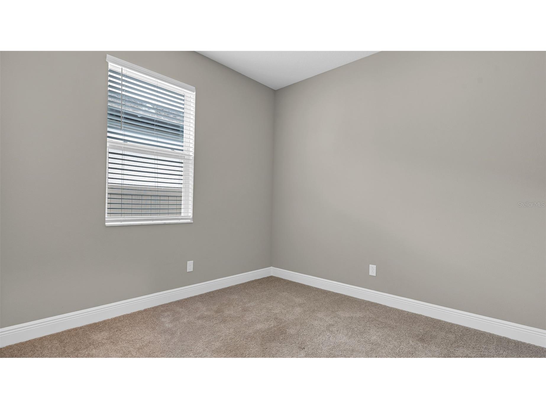 19455 Redwood Point Drive Tampa FL 33647 TB8523376 image23