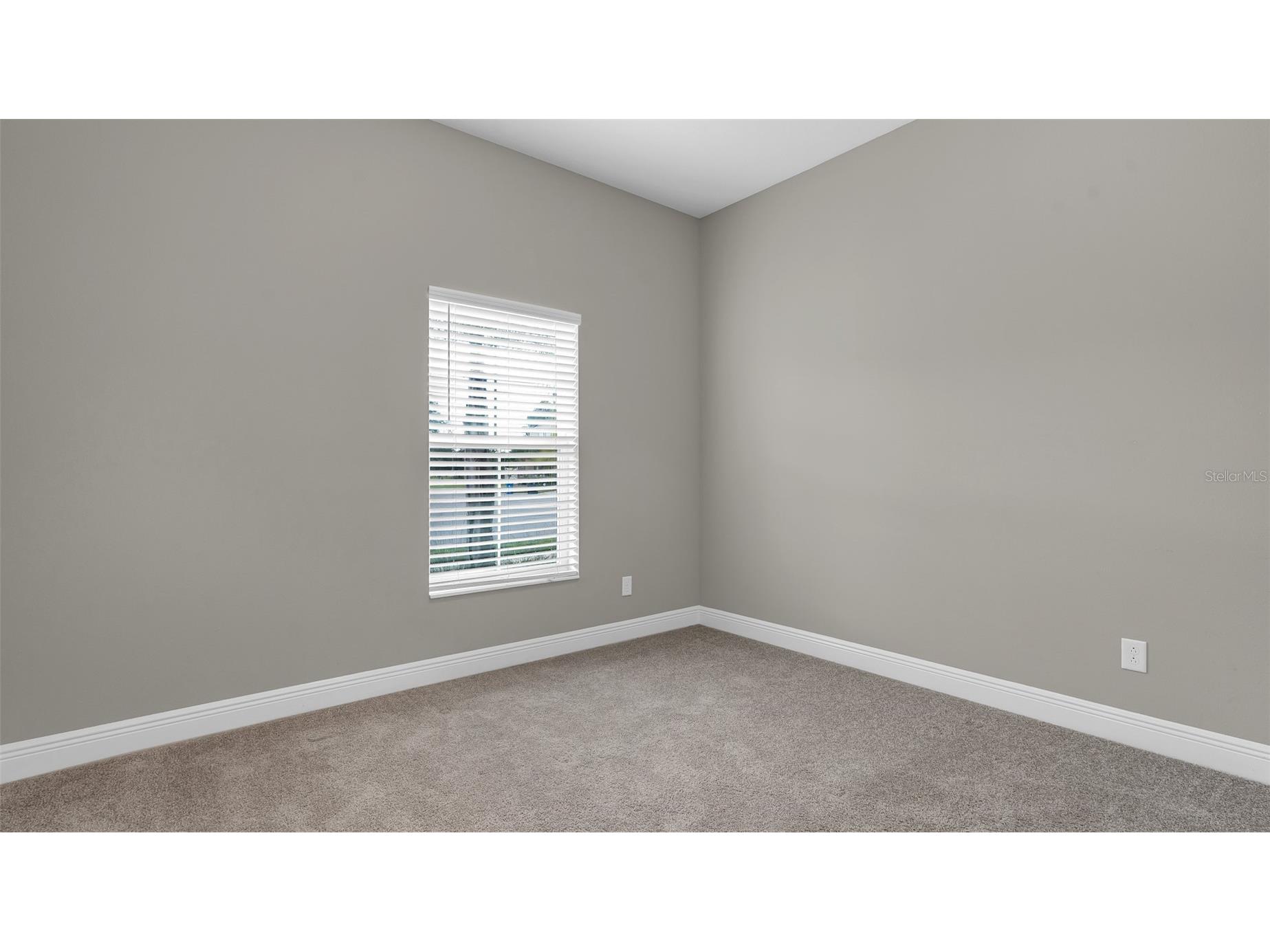 19455 Redwood Point Drive Tampa FL 33647 TB8523376 image24