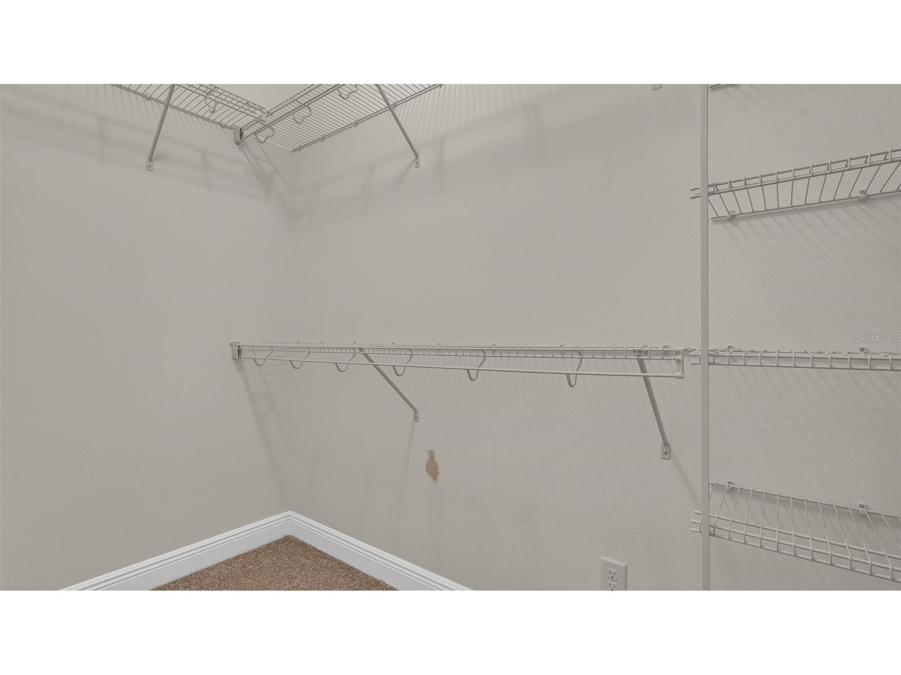 19455 Redwood Point Drive Tampa FL 33647 TB8523376 image25