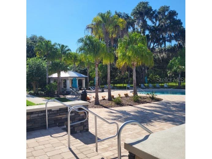 19455 Redwood Point Drive Tampa FL 33647 TB8523376 image42