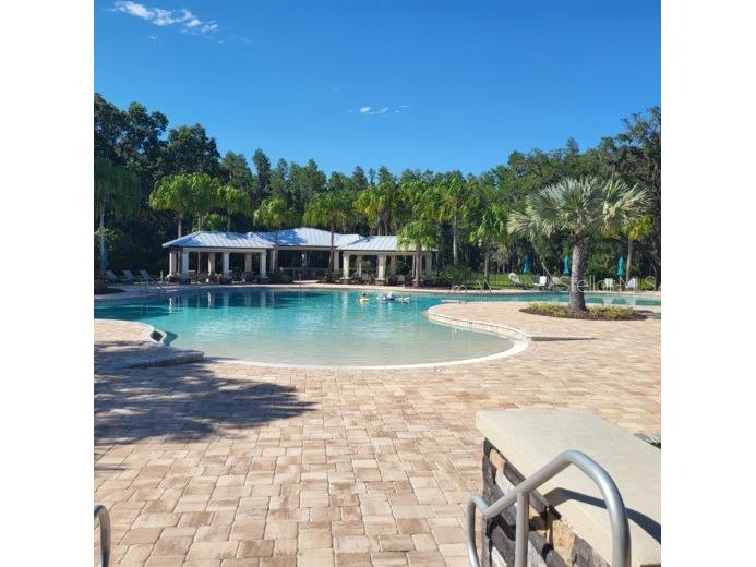 19455 Redwood Point Drive Tampa FL 33647 TB8523376 image43