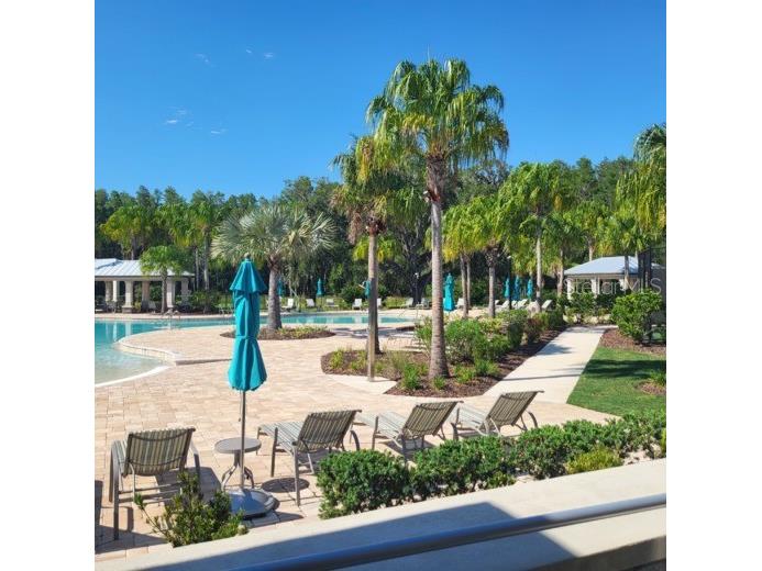 19455 Redwood Point Drive Tampa FL 33647 TB8523376 image44