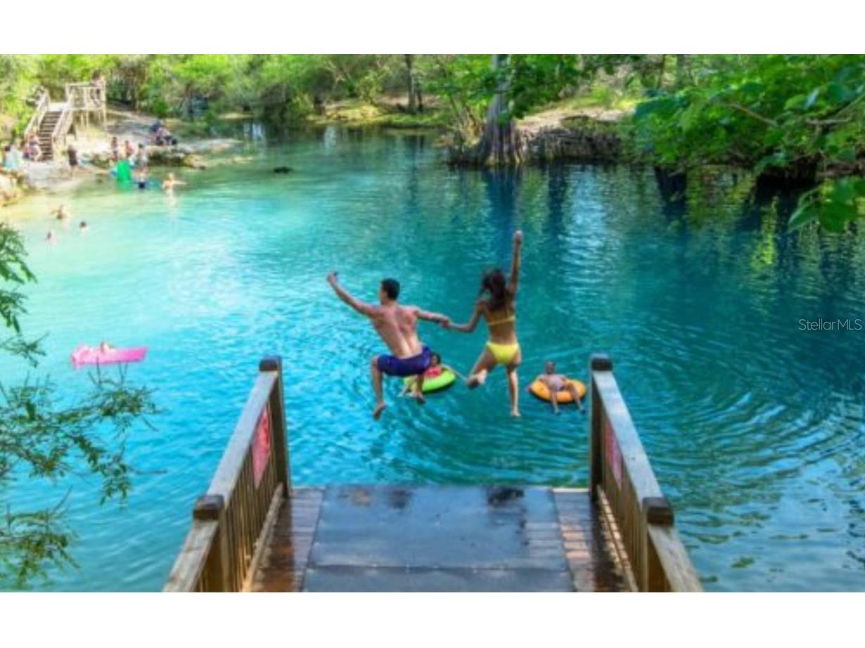 19456 161st Court O'Brien FL 32071 GC535730 image59