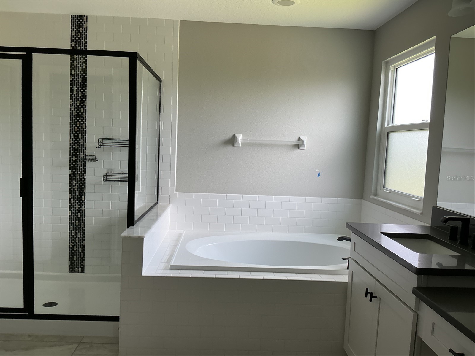19457 Redwood Point Drive Tampa FL 33647 O6405067 image3