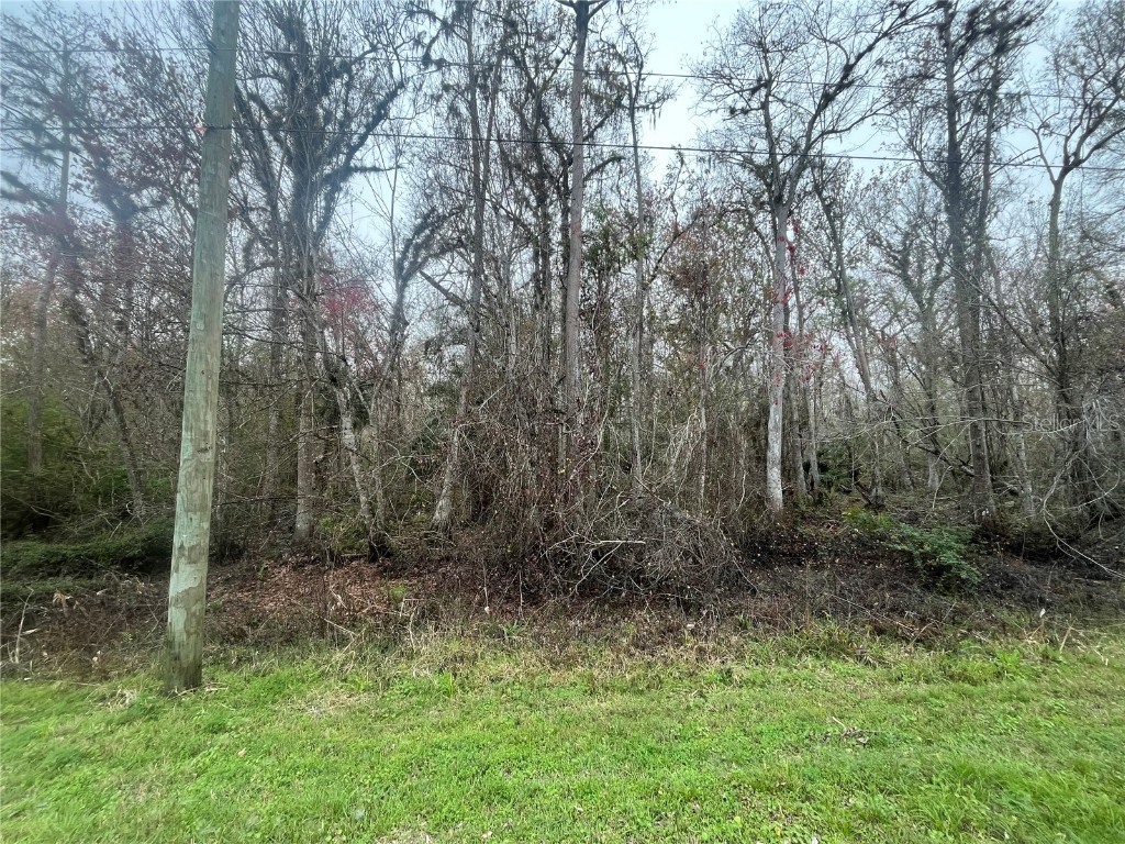1946 Cr-305 Bunnell FL 32110 OK224639 image1