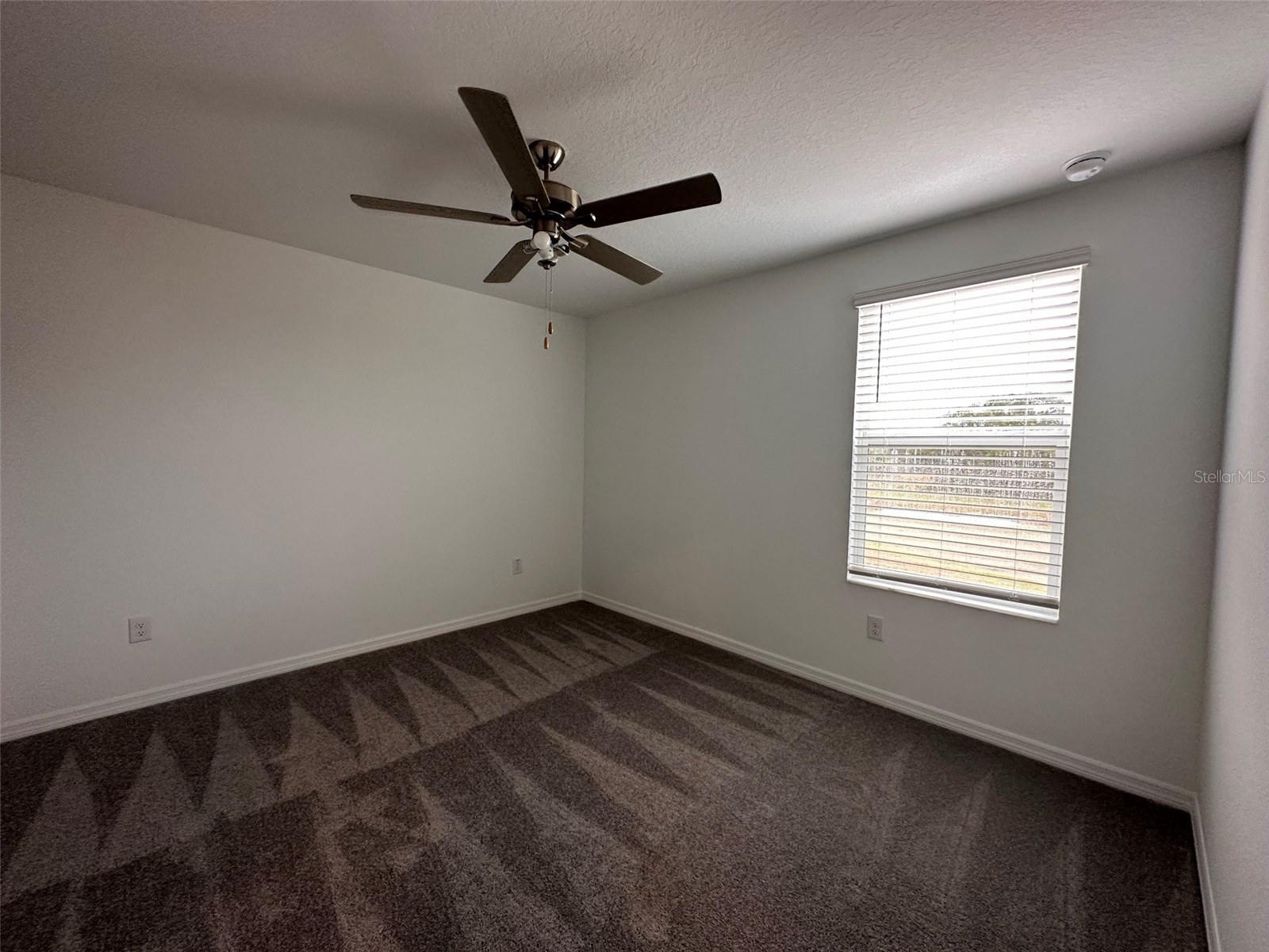 1946 Lanier Road Zephyrhills FL 33541 TB8462796 image10