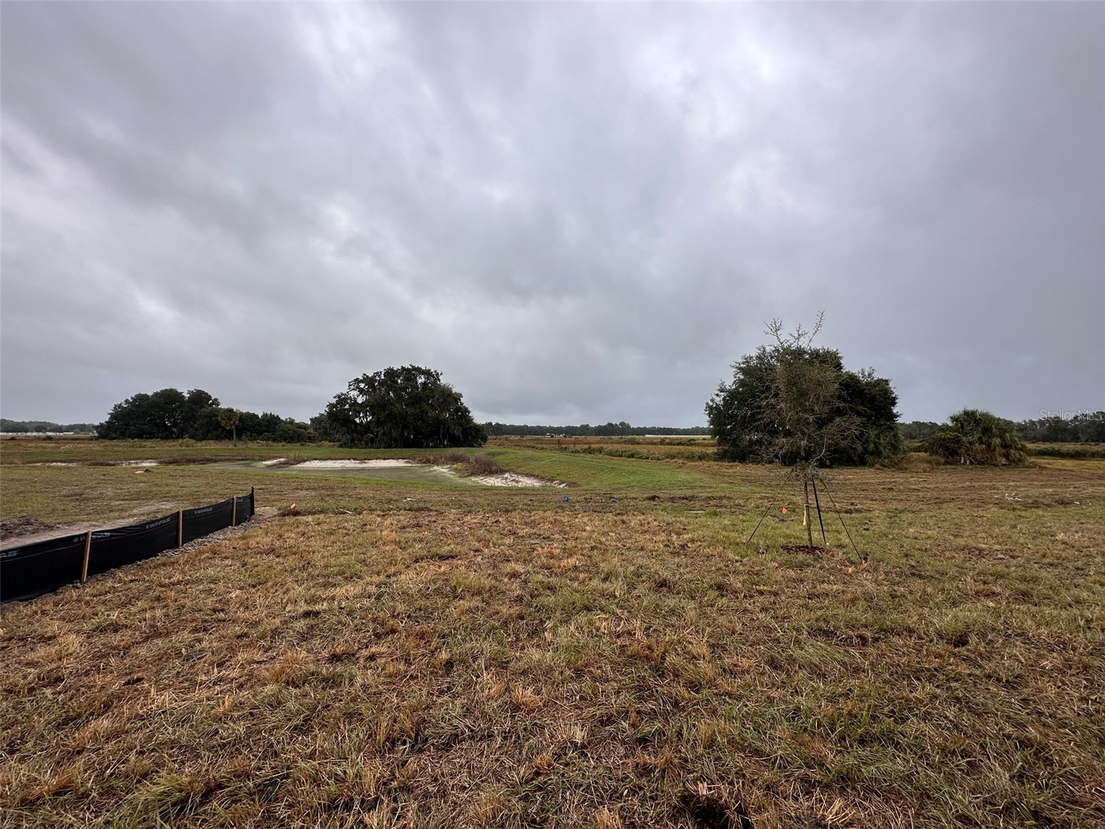 1946 Lanier Road Zephyrhills FL 33541 TB8462796 image17