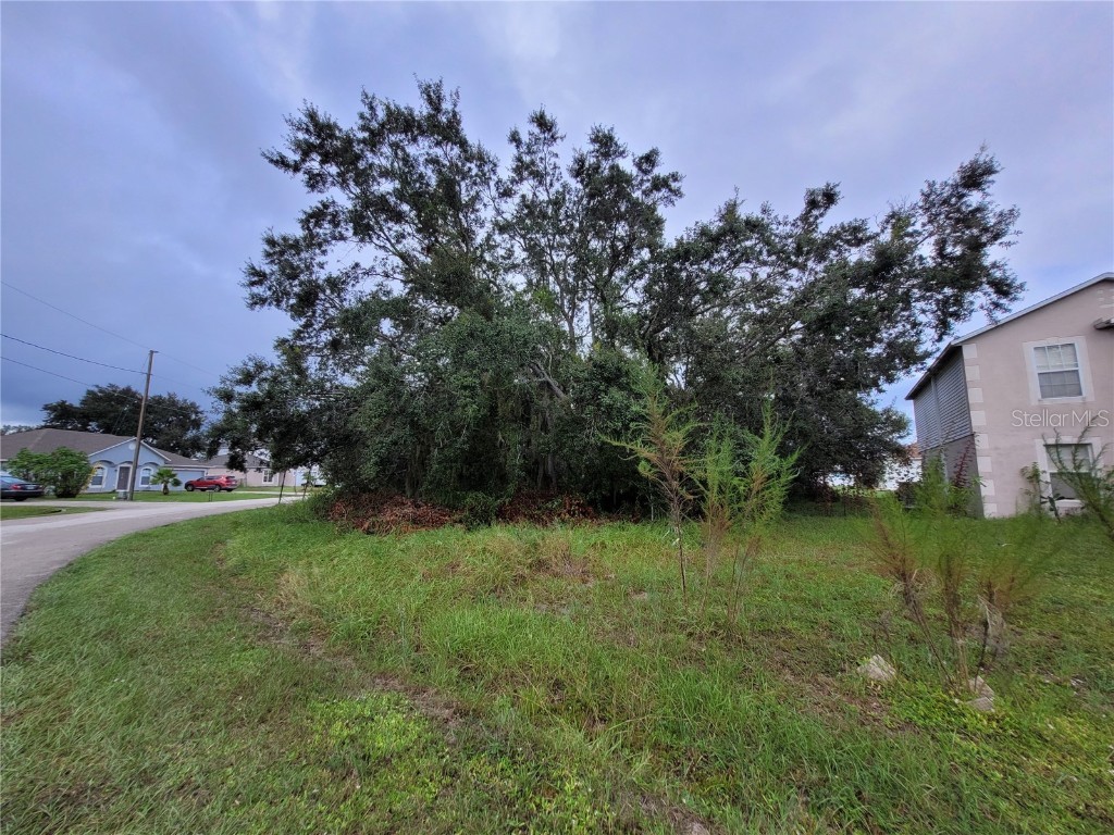 1946 Manatee Ct Poinciana FL 34759 OM710859 image6