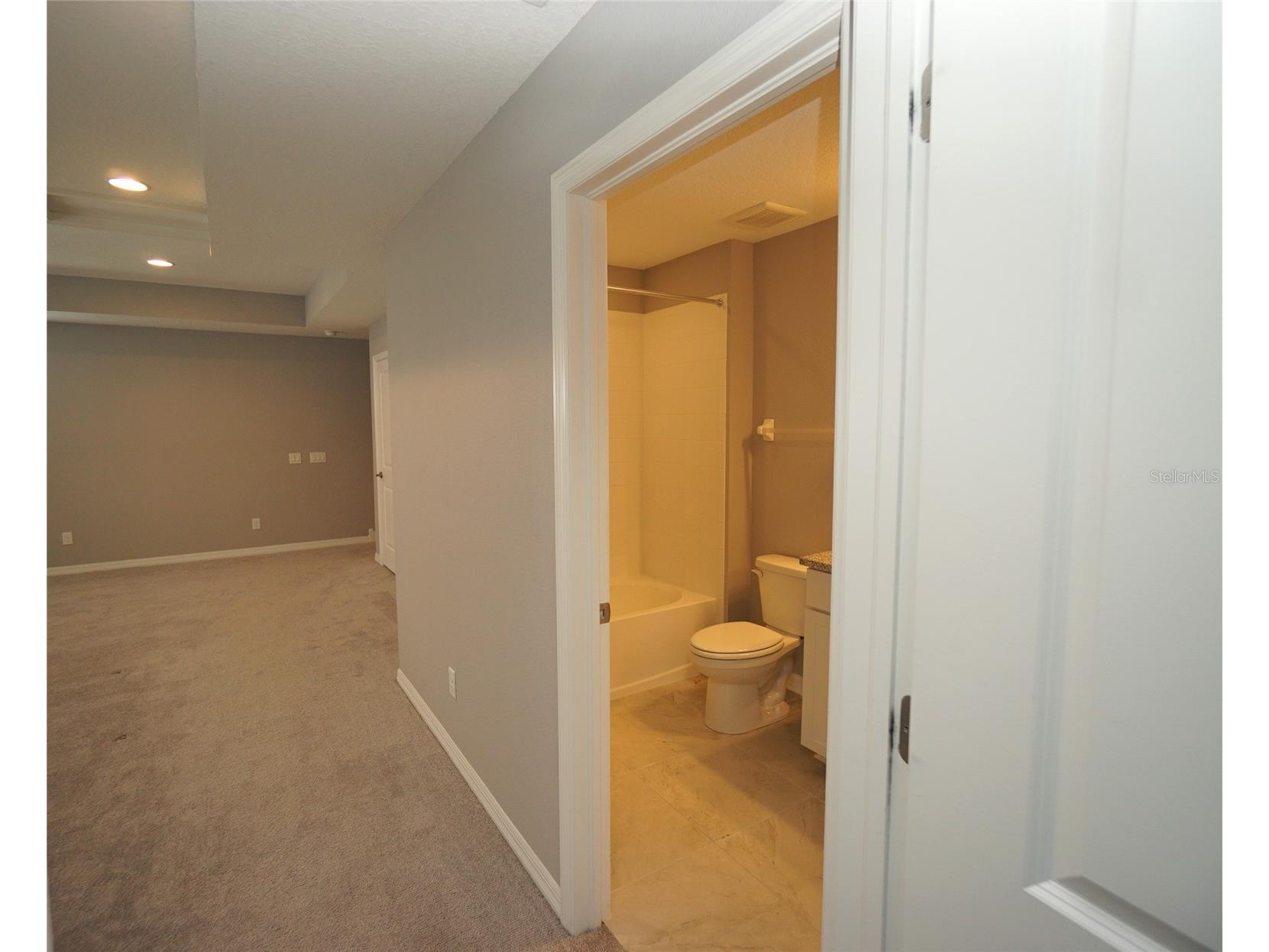 19460 Blossom Vine Lane Lutz FL 33558 TB8523752 image14