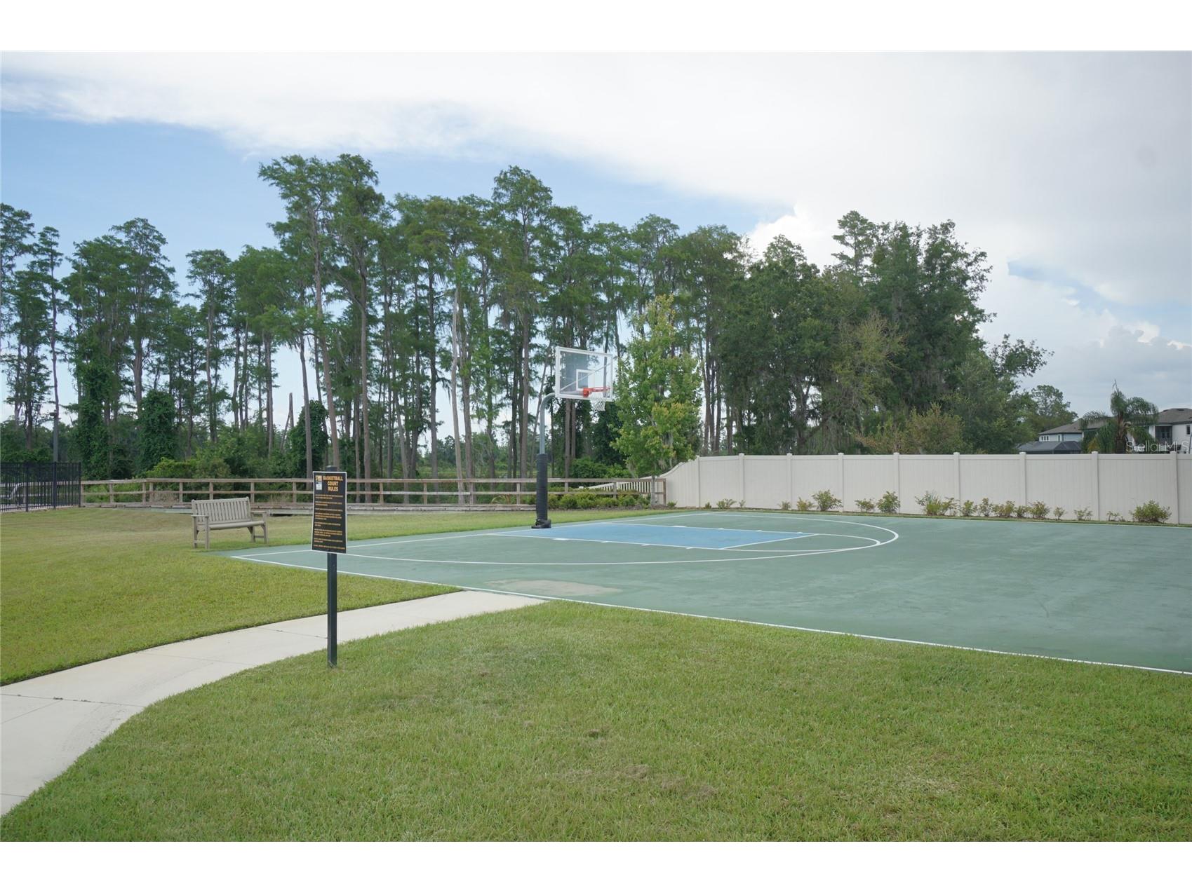 19460 Blossom Vine Lane Lutz FL 33558 TB8523752 image41