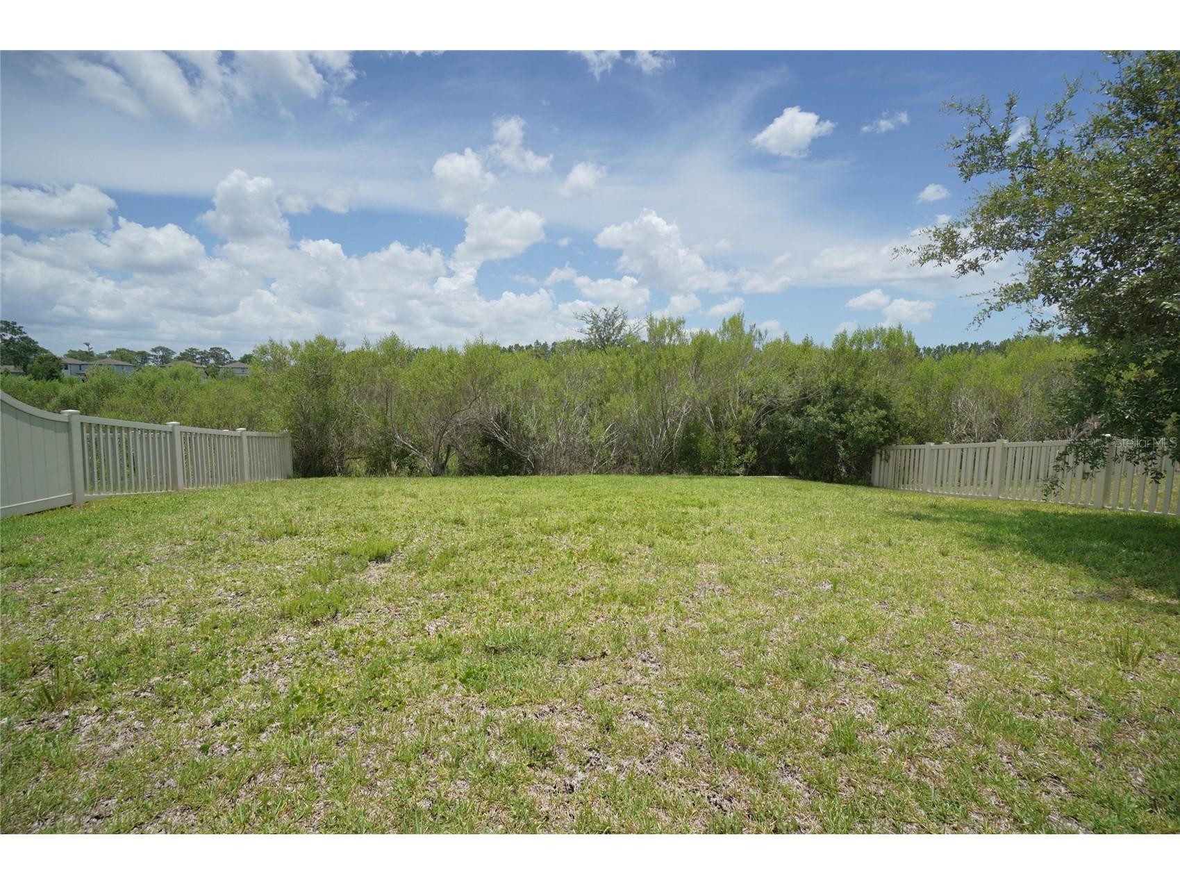 19460 Blossom Vine Lane Lutz FL 33558 TB8523752 image45