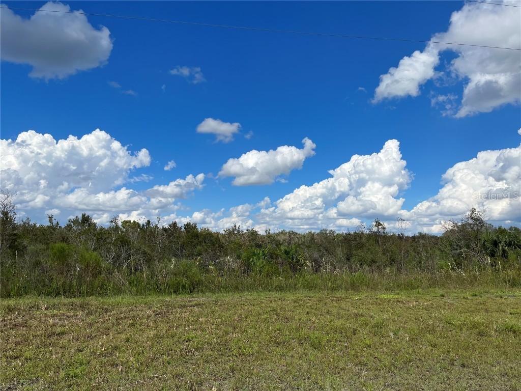 19461 NW 256th Street Okeechobee FL 34972 OK221995 image1