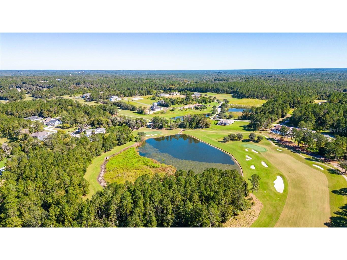 19462 Forest Garden Court Brooksville FL 34601 TB8438498 image49