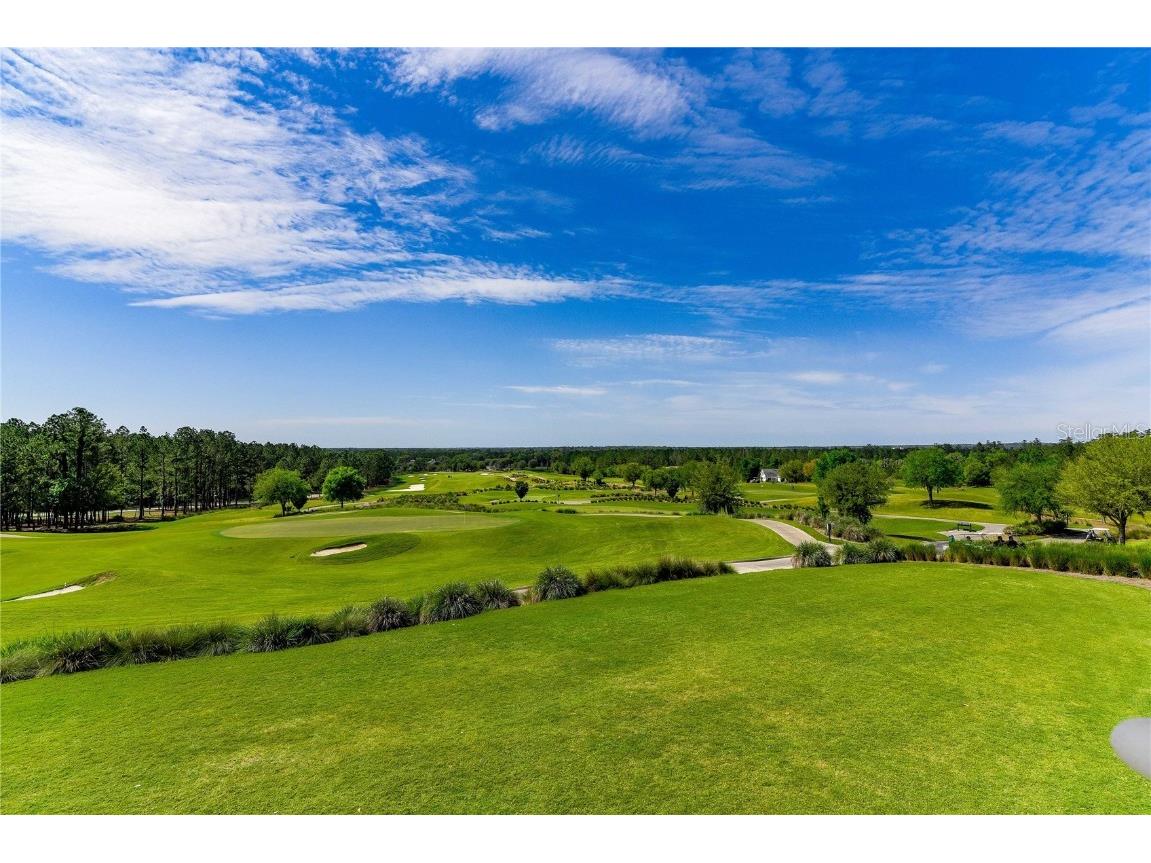 19462 Forest Garden Court Brooksville FL 34601 TB8438498 image64