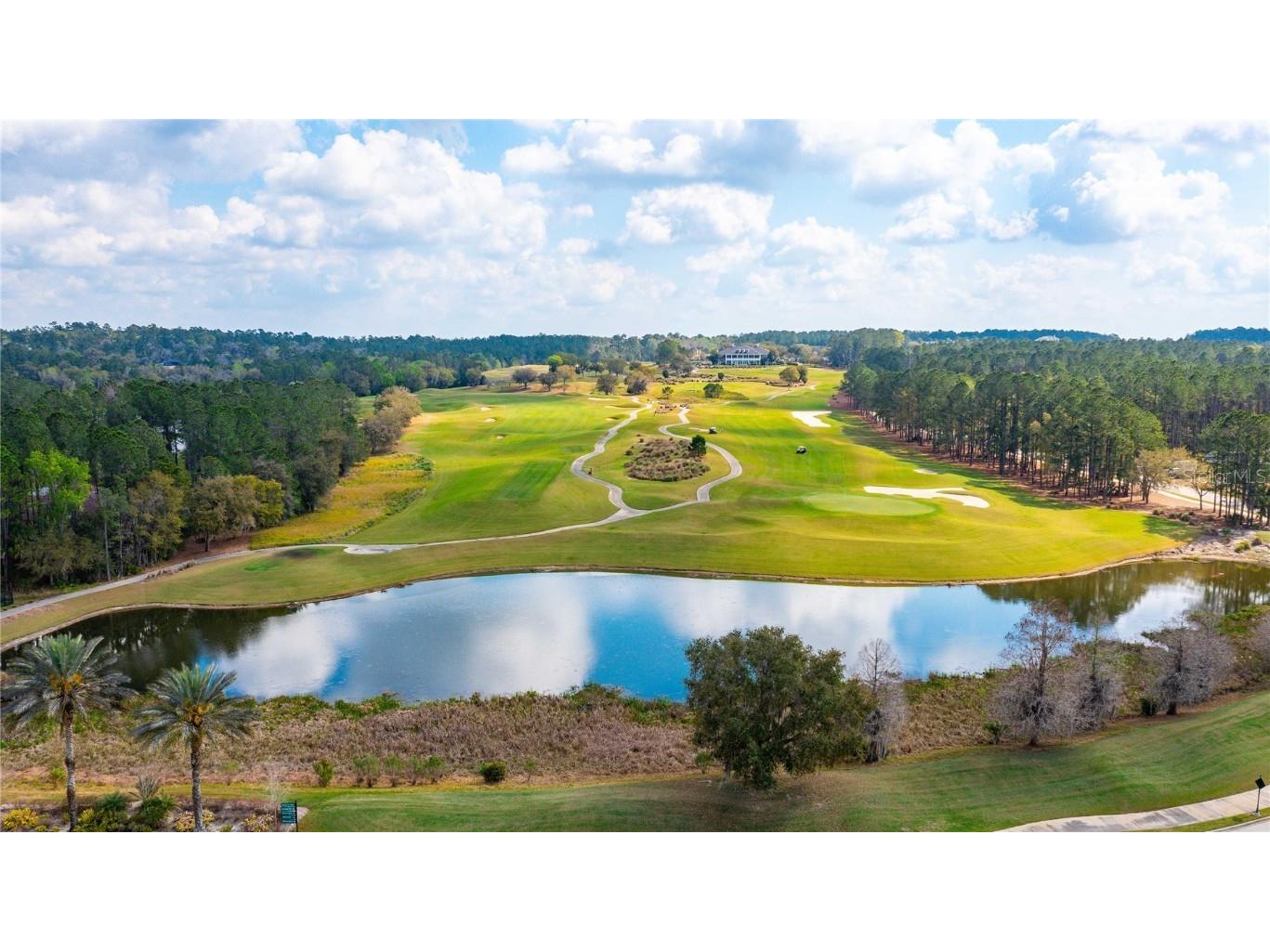 19462 Forest Garden Court Brooksville FL 34601 TB8438498 image81