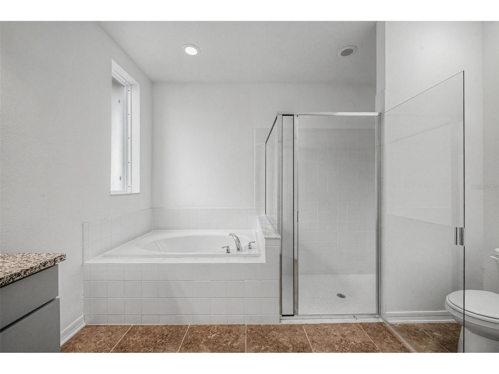 19462 Rosemoor Avenue Lutz FL 33558 TB8512827 image24