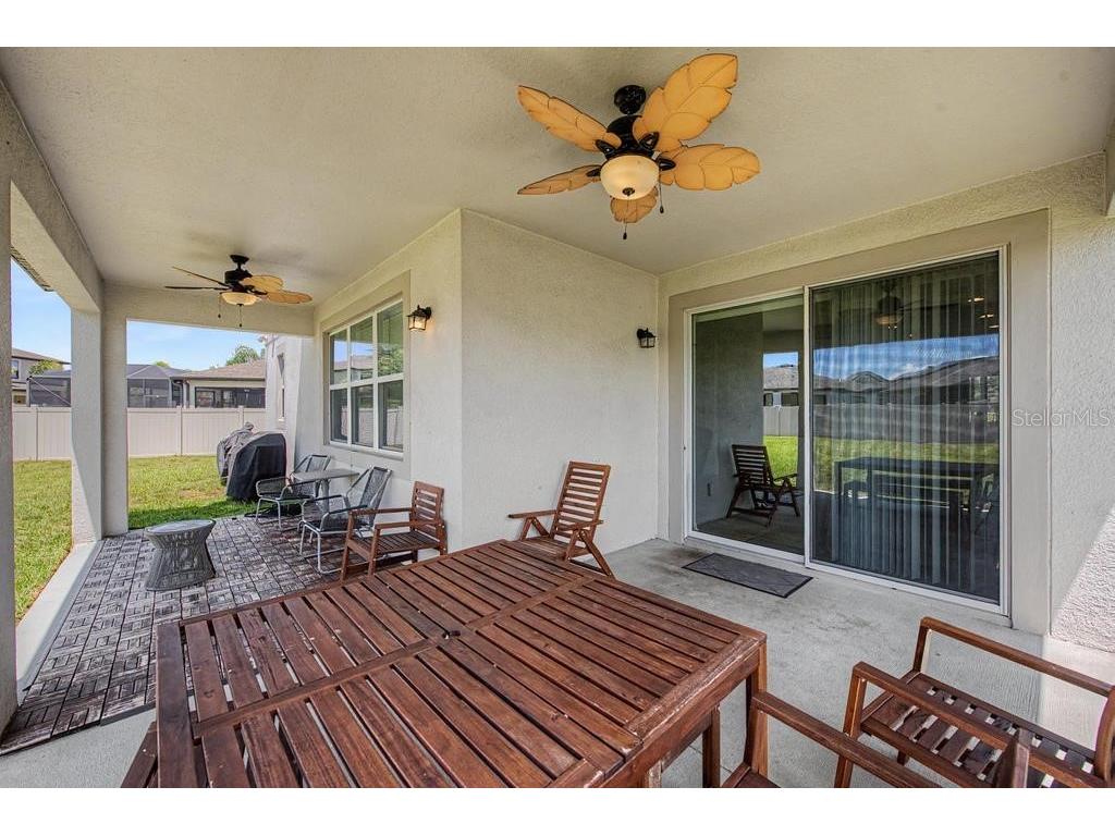 19462 Rosemoor Avenue Lutz FL 33558 TB8512827 image37