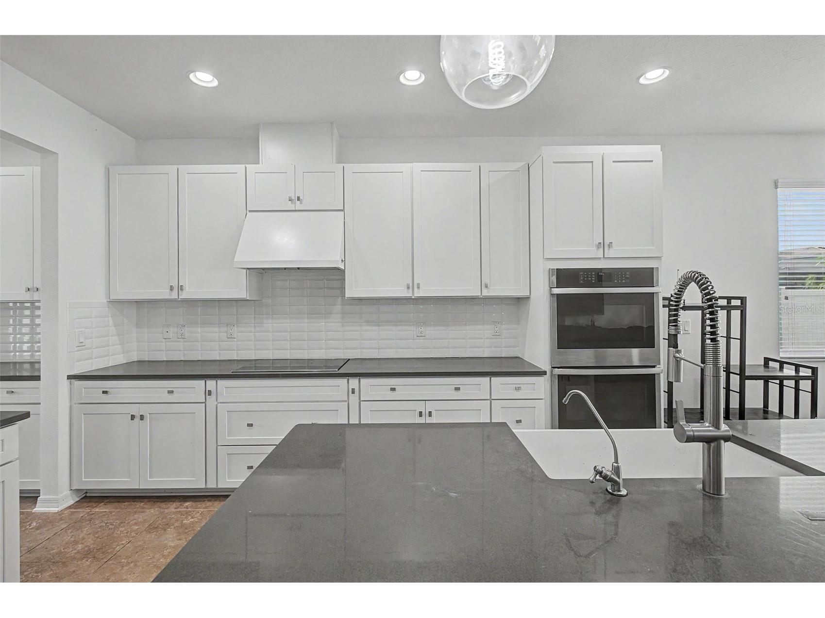 19462 Rosemoor Avenue Lutz FL 33558 TB8512827 image9