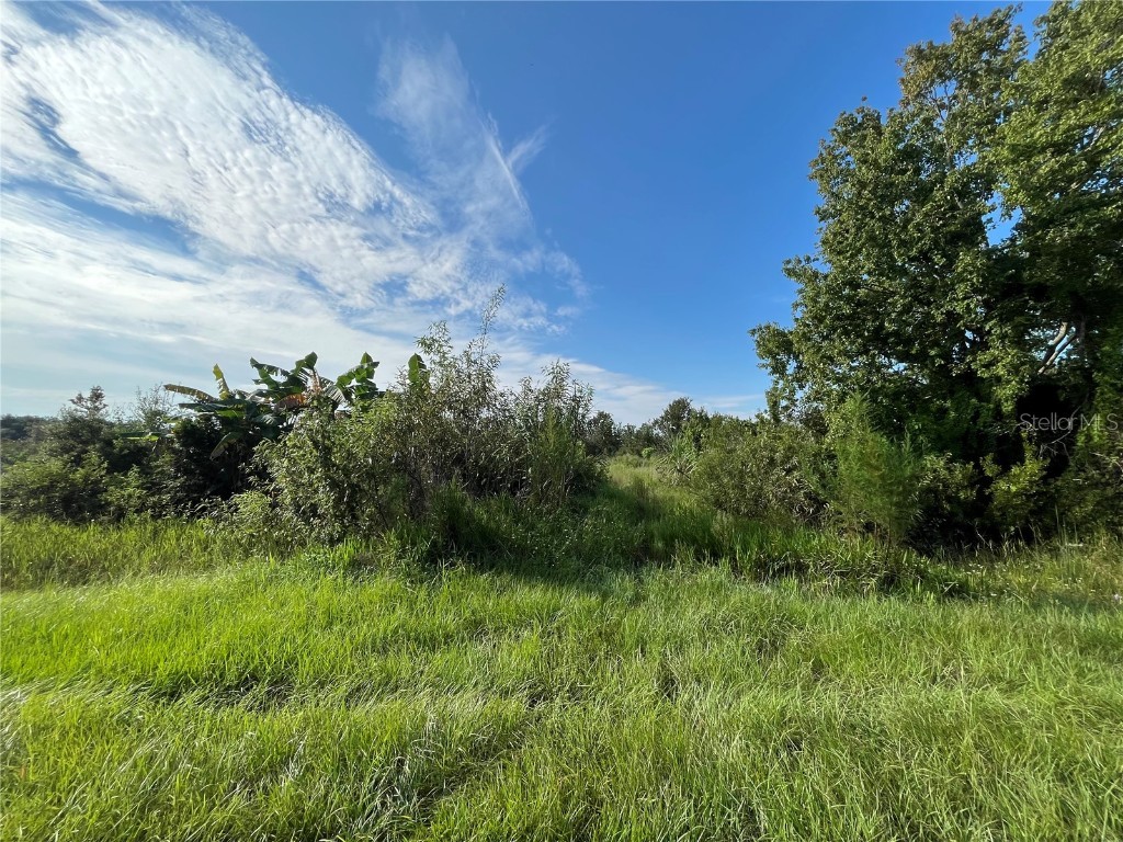 19466 NW 258th Street Okeechobee FL 34972 OK224437 image1
