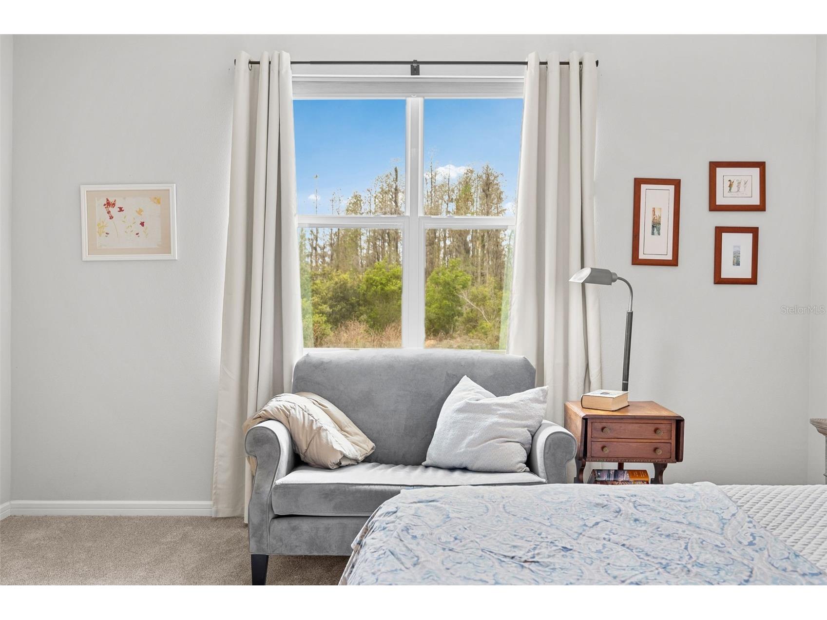 19469 Sea Glass Circle Land O Lakes FL 34638 TB8488610 image35