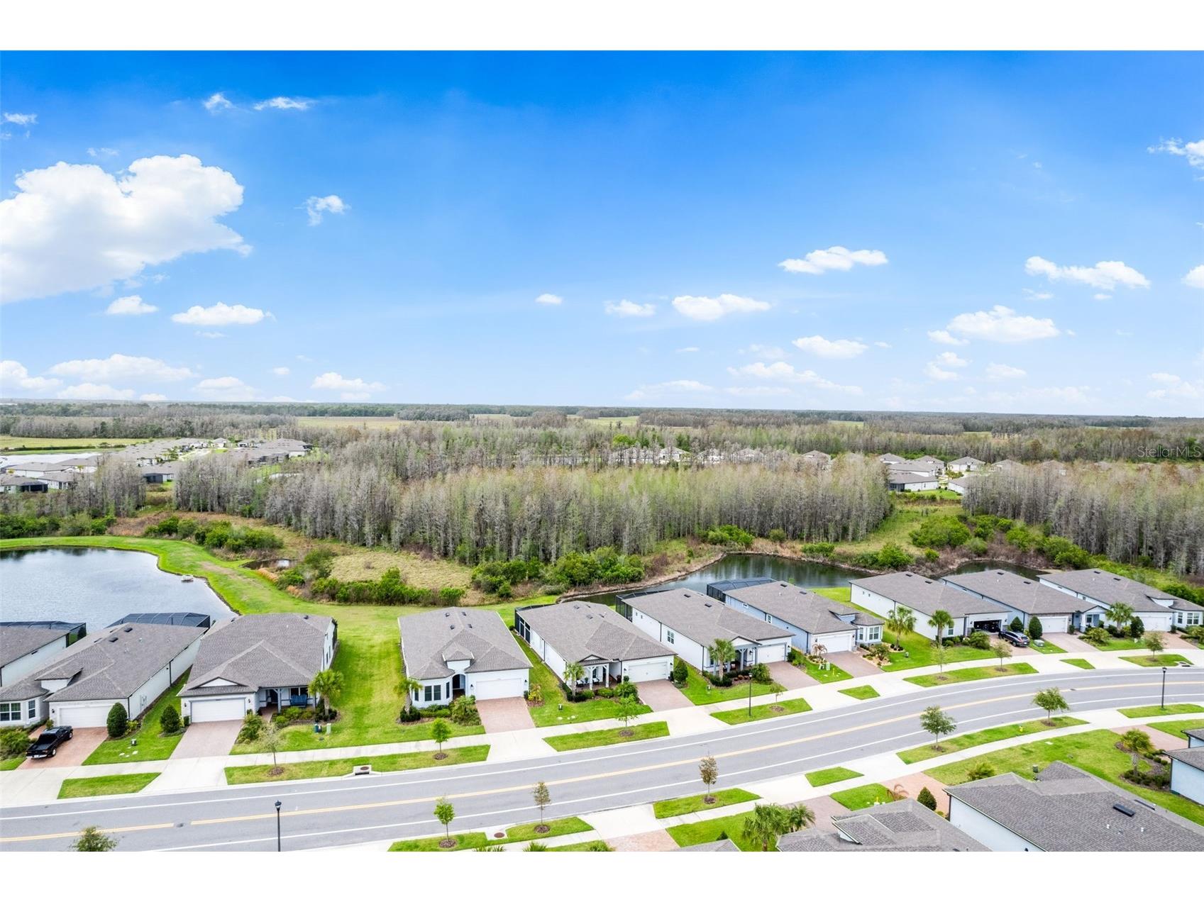 19469 Sea Glass Circle Land O Lakes FL 34638 TB8488610 image5