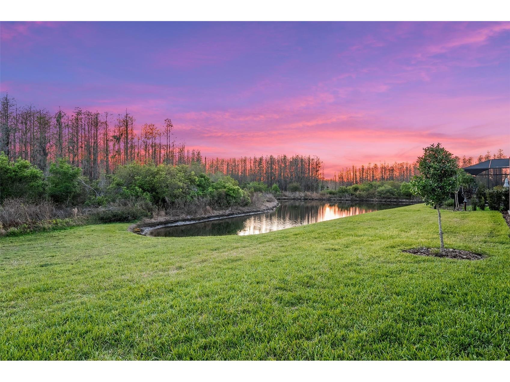19469 Sea Glass Circle Land O Lakes FL 34638 TB8488610 image56
