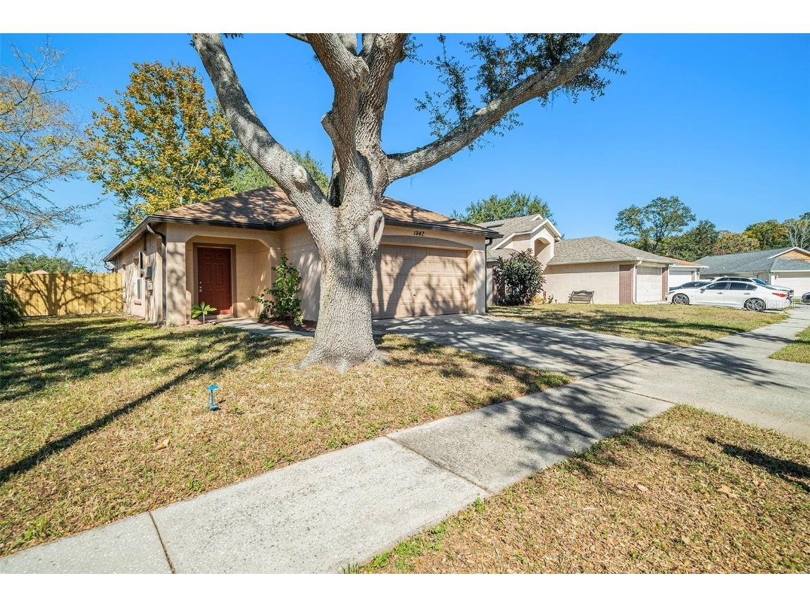 1947 Tinker Drive Lutz FL 33559 TB8448349 image5