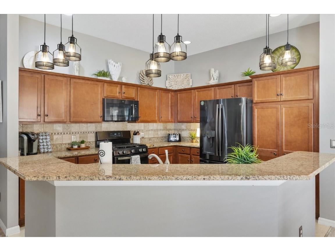 1947 Tranquility Lane The Villages FL 32162 G5101771 image7