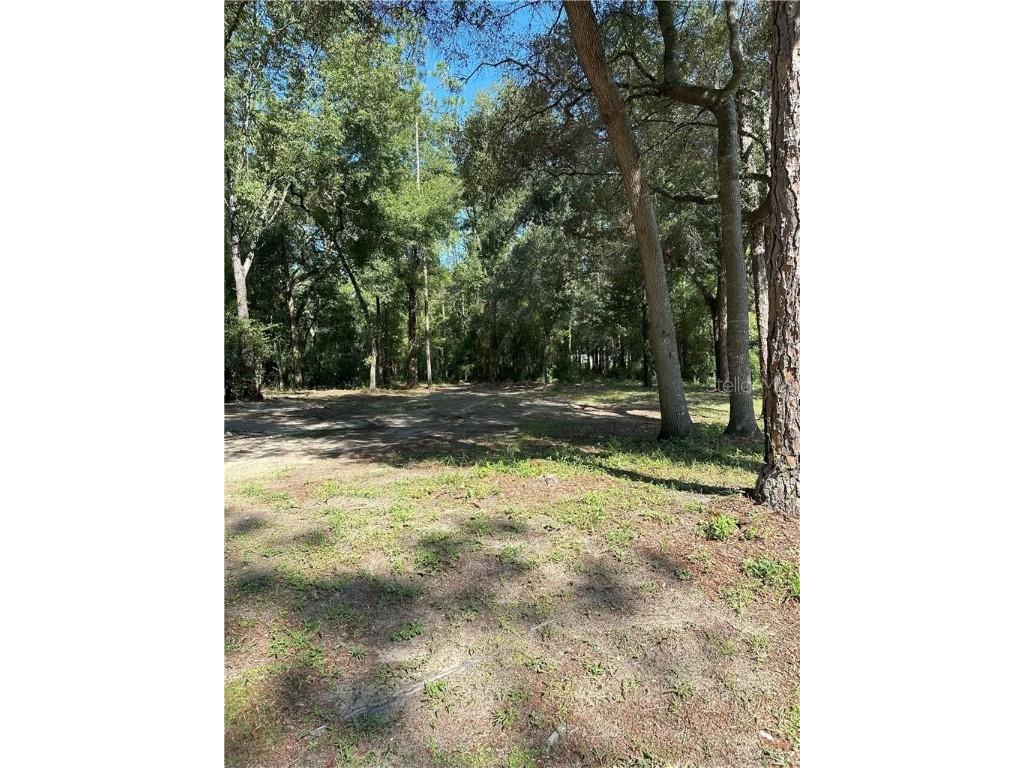 1947 W Albury Place Citrus Springs FL 34434 TB8309595 image1