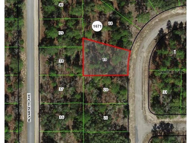 1947 W Skyline Drive Citrus Springs FL 34434 OM714010 image1