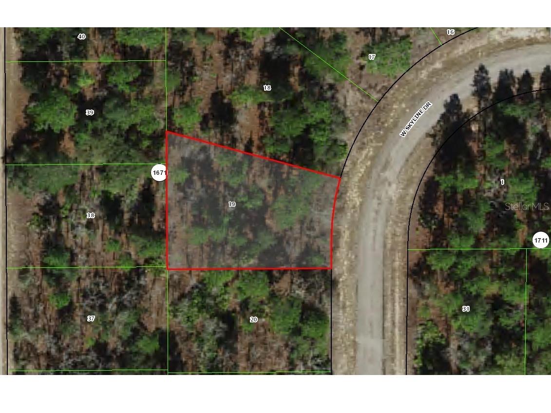 1947 W Skyline Drive Citrus Springs FL 34434 OM714010 image2